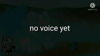 VS TE phase 3 instrumental leak