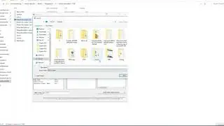 Polaris Bios Editor tutorial