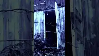 Happy Halloween, Don't Go in the House!