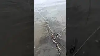 Непонятно - зимняя рыбалка или летняя?