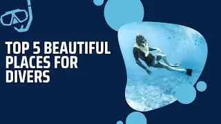 Top Dive Destinations for Adventure Seekers🤿 #travel #diving #explore
