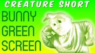 Bunny Green Screen (Creature Short)