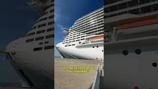 How much does a cruise cost?