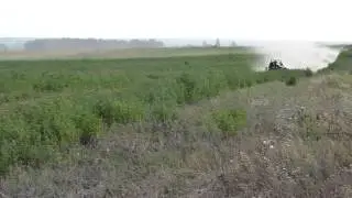 Барракуда Cухова
