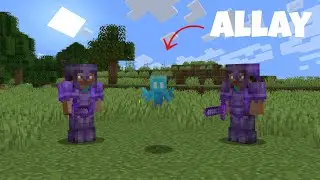 I Started a WAR over an ALLAY on this MINECRAFT SMP
