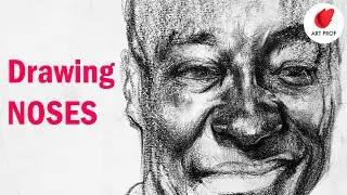 The Secret to Sketching Noses: Anatomy for Artists