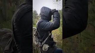 Stalker Задание от Сидоровича 