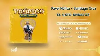 EL GATO ANDALUZ - @pavelnunezoficial @SantiagoCruzVideo