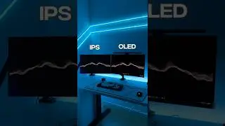 IPS vs OLED Monitor 😳