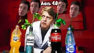 ХЕСУС СМОТРИТ ВИДЕО: It's Mamix - ГДЕ РОЗЫ ПРОСТОЯТ ДОЛЬШЕ? - КОЛА, ВОДКА ИЛИ ВОДА? РЕАКЦИЯ ДЕДА.