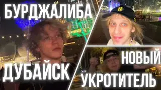 ХАЗЯЕВА / ДУБАЙ / ЖОЖО УКРОТИТЕЛЬ / КОСТЯ в ТИЛЬТЕ