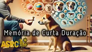 MEMÓRIA DE CURTA DURAÇÃO  - DESAFIO 10 EM 7
