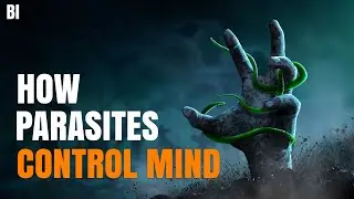 Real Zombies That Live Among Us