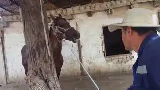 QIYOMAT KUNIDA OTNING QADRI YUQOLMAS EKAN