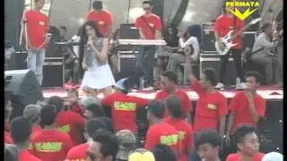 DANGDUT JAMAIKA   RYU STAR LIVE AL DUGAL