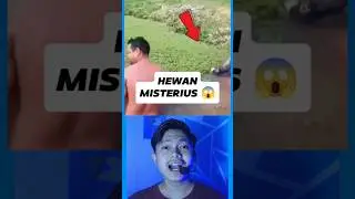 Saat 2 pria terkejut melihat hewan misterius ! 😱 #shorts