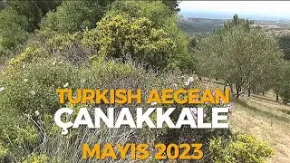 Mayıs 2023 Bahar zamanı - Tavaklı Köyü