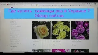 Где я покупаю саженцы роз.  Обзор сайтов  в Украине