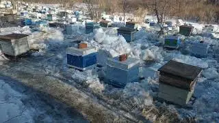 Открытие пчеловодного сезона 2022 г