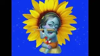 little krishna green screen