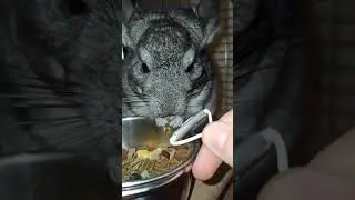 СЛУШАТЬ ТОЛЬКО в НАУШНИКАХ!!!