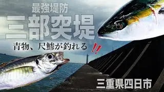 【三重県四日市】あまり知らない幻の堤防ガイド‼︎青物、尺鯵の釣果も確認‼︎