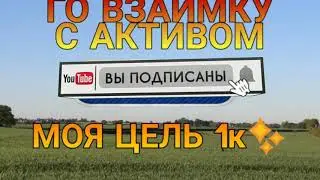 Го взаимку, с активом. Моя цель 1к💪