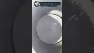Inside a 2 stroke engine 