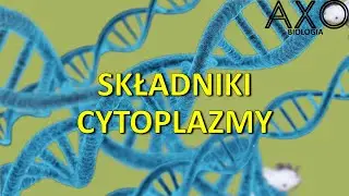 9. Składniki cytoplazmy