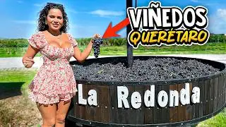 Pisada de uvas para hacer VINO Actividad GRATUITA | Viñedos La Redonda Querétaro