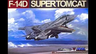 AMK 1/48 F-14D Tomcat review with extras