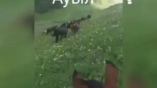 Балалық шақ ауыл