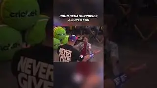 WHEN CELEBRITIES SURPRISE THEIR FANS 