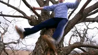 гопник на дереве.