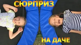 Сюрприз на даче