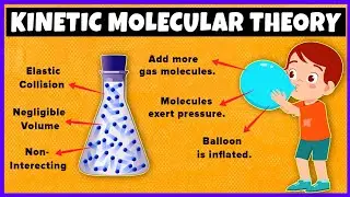 Kinetic Molecular Theory of Gases