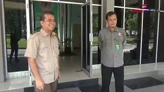 Harimau Sumatera di Siak Masuk Kampung