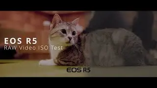 Canon EOS R5 Dual ISO Test 【8K RAW 12bit】