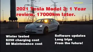 2021 Tesla Model 3 | 1 year and 17000km later Review