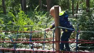 "Лесной экстрим" для малышей с 2-х лет