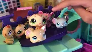 Lps Adoption Center Part 3