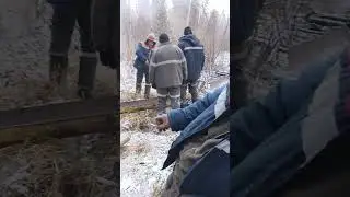 28 октября 2023 г.