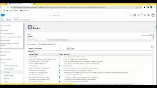 Clone Standard Admin profile and assign to an User 