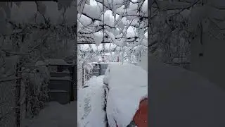 На Кубани выпал снег/жизнь на юге.