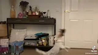 Maya’ training