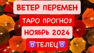 ♉️ТЕЛЕЦ♉️ ВЕТЕР ПЕРЕМЕН .НОЯБРЬ 2024. ТАРО ПРОГНОЗ