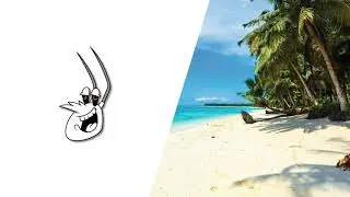 Tropical Type Instrumental 