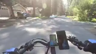 Ride To The Singing Trees