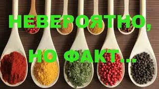 НЕВЕРОЯТНО, НО ФАКТ #Шорт-видео