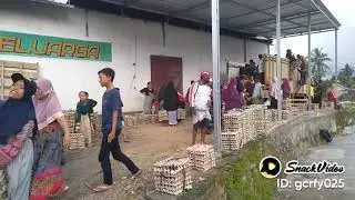 Antusias Warga desa pungkang Lauk Aikmel barat menerima Telur ayam merah GRATIS!!!Ambil sepuas nya